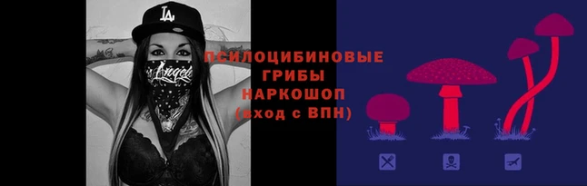 а пвп мука Россошь